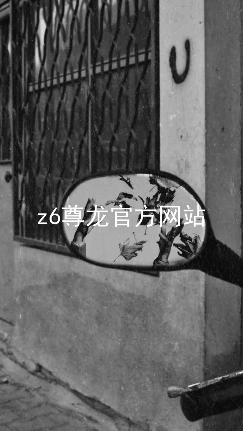 z6尊龙官方网站