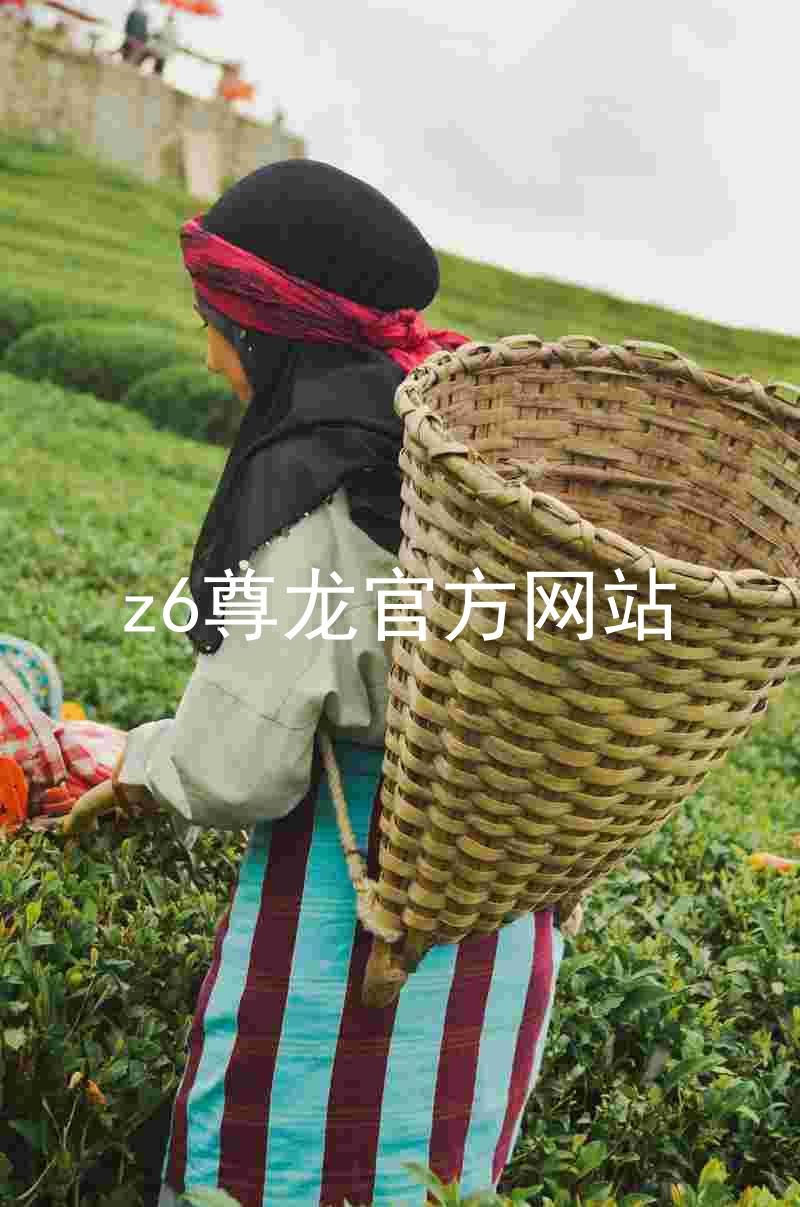 z6尊龙官方网站