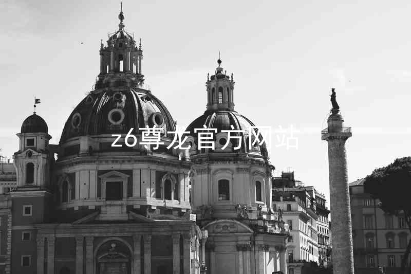 z6尊龙官方网站